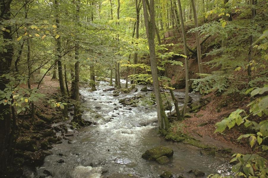 Fewo Hof Elbbachtal เวสเตอร์บวร์ก ภายนอก รูปภาพ