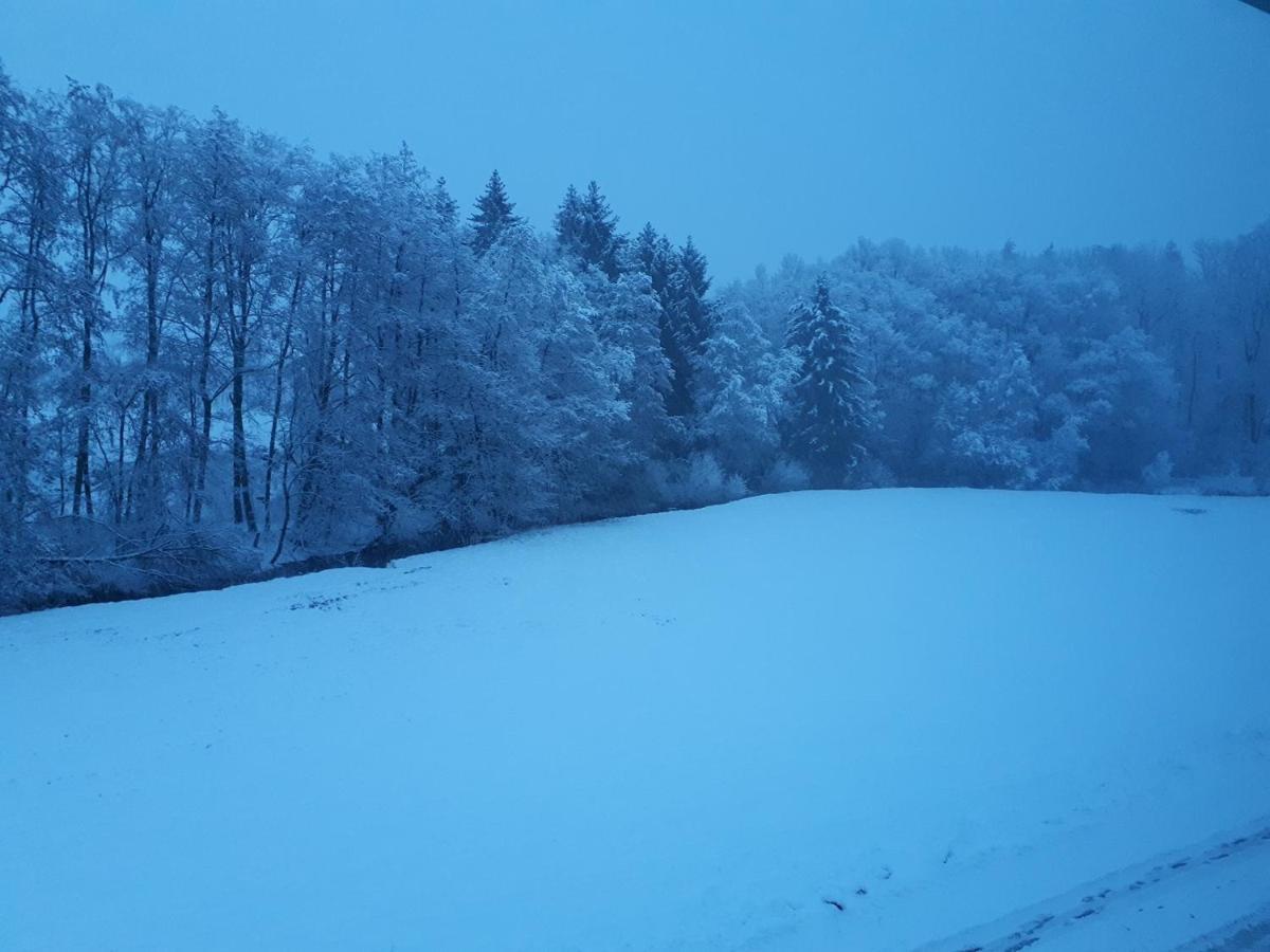 Fewo Hof Elbbachtal เวสเตอร์บวร์ก ภายนอก รูปภาพ